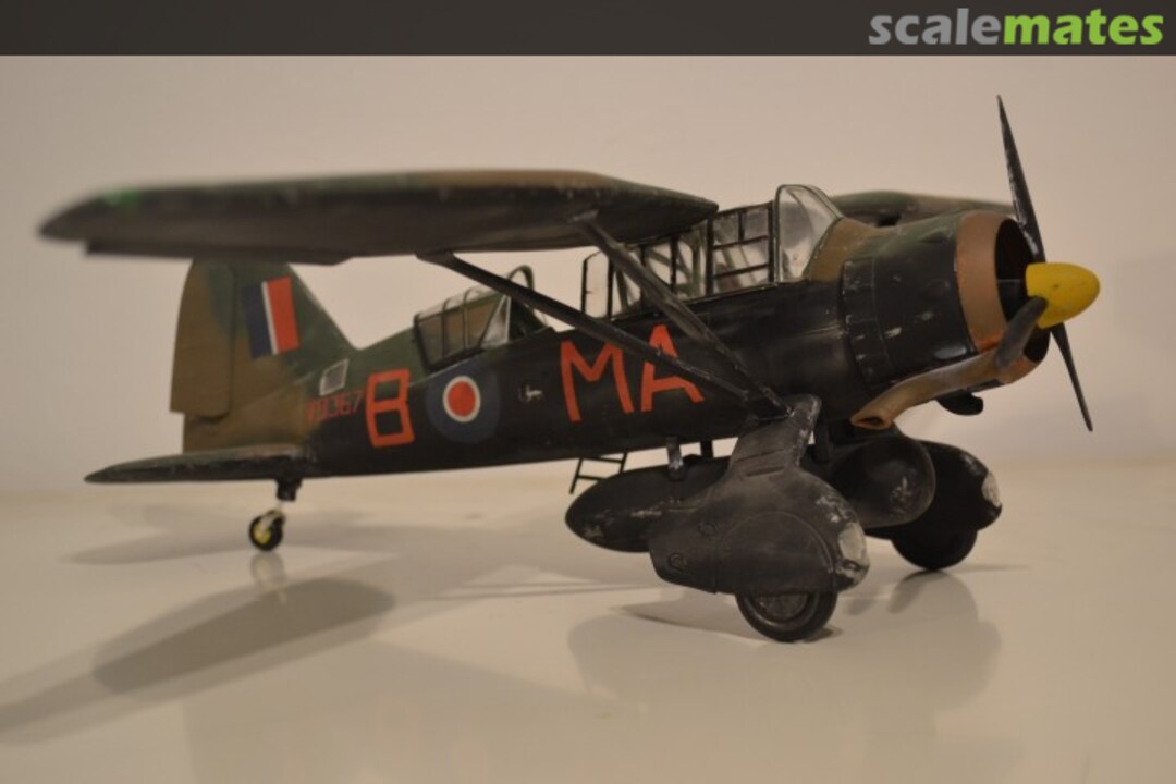 View album, image #1 View album, image #1