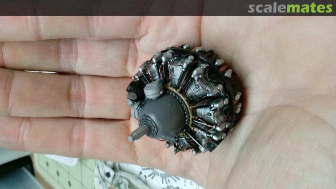 View album, image #1 View album, image #1