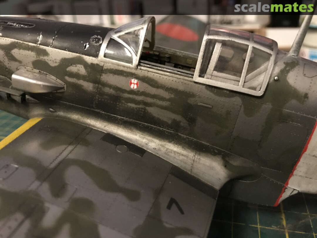 View album, image #65 View album, image #65