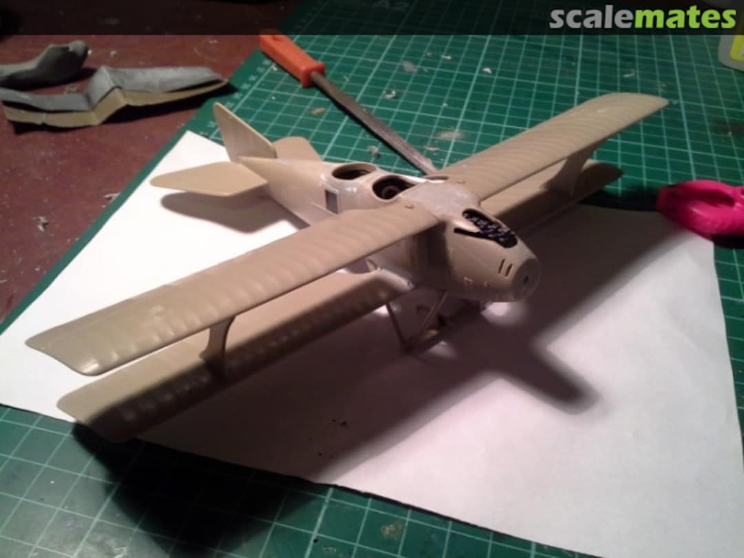 View album, image #1 View album, image #1