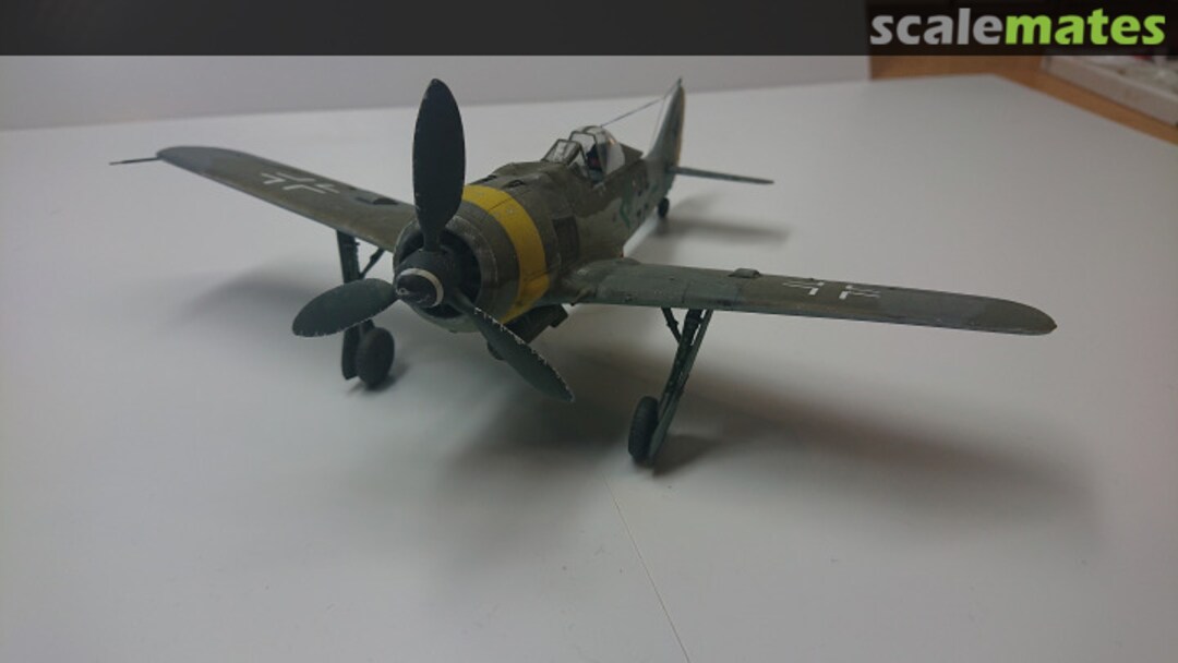 View album, image #4 View album, image #4