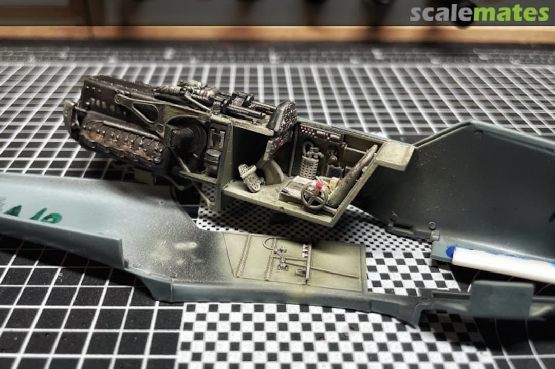 View album, image #1