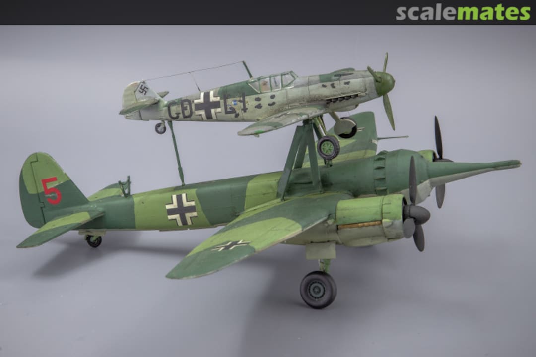 View album, image #1 View album, image #1