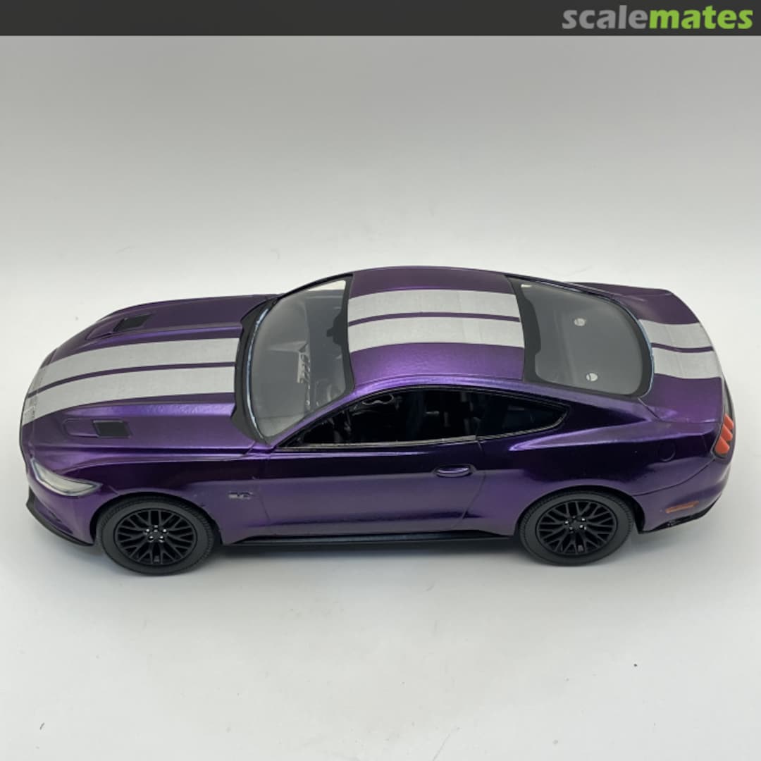 View album, image #4 View album, image #4