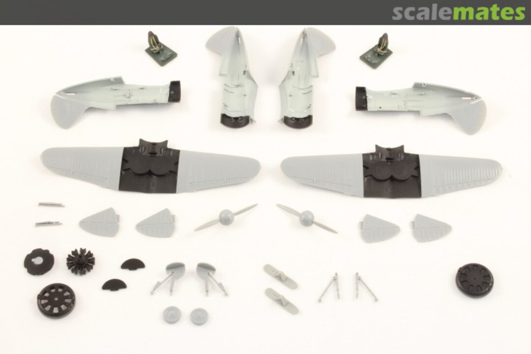 View album, image #1 View album, image #1