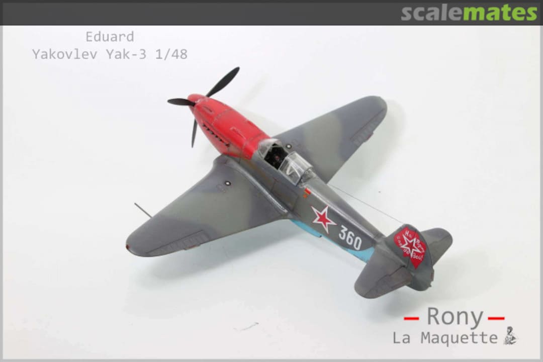 View album, image #1