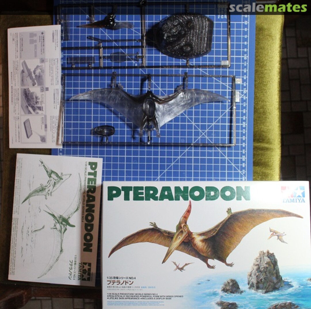 View album, image #1 View album, image #1