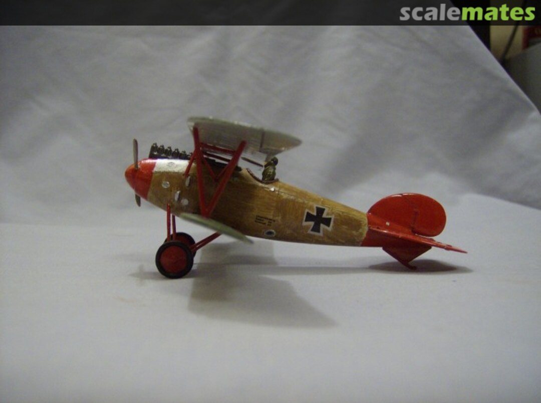 View album, image #1