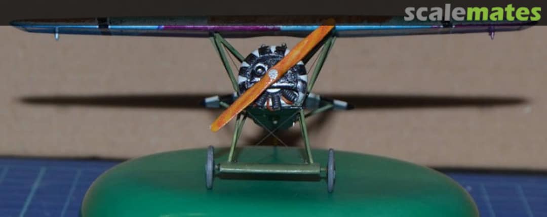 View album, image #1 View album, image #1