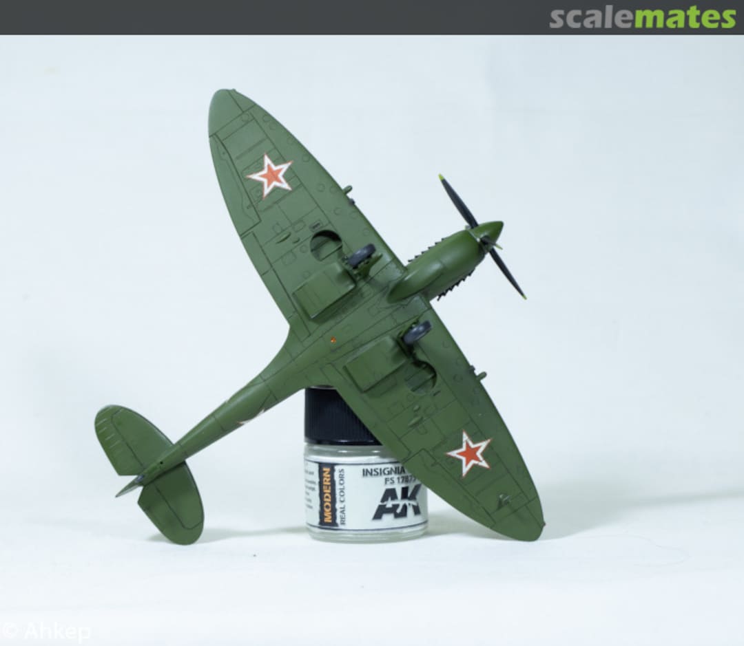 View album, image #1 View album, image #1