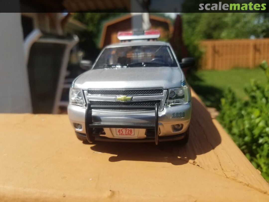 View album, image #1 View album, image #1