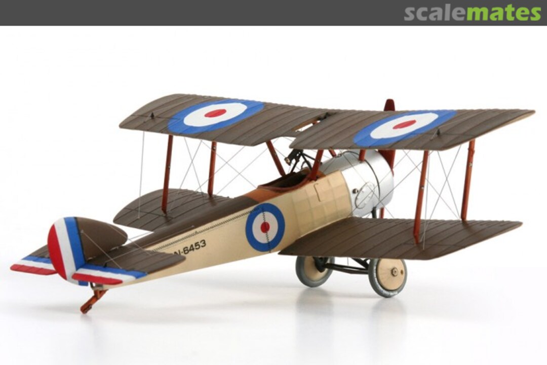 View album, image #1 View album, image #1