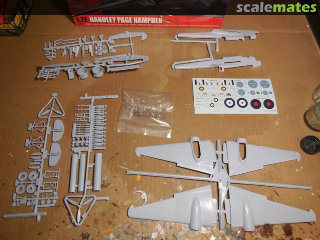 View album, image #1 View album, image #1