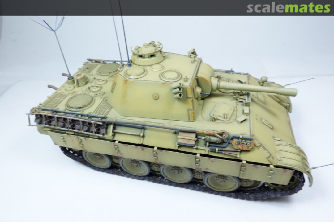 View album, image #1 View album, image #1