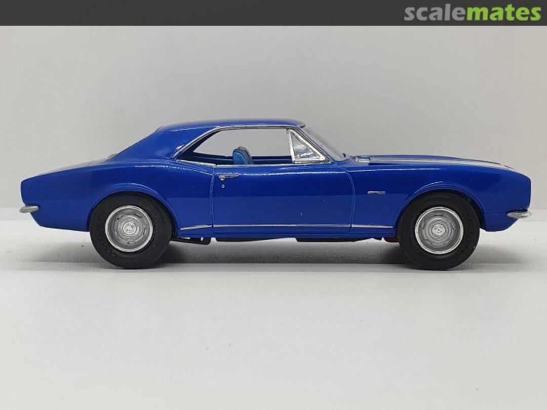 View album, image #1 View album, image #1