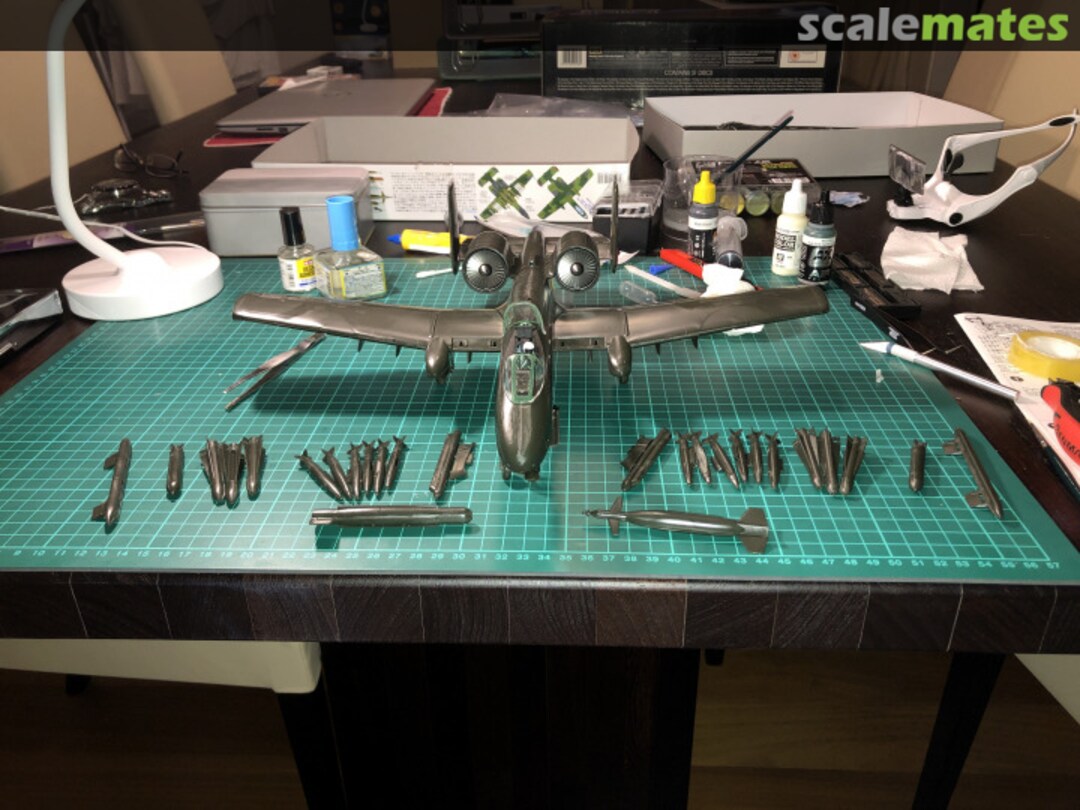 View album, image #1