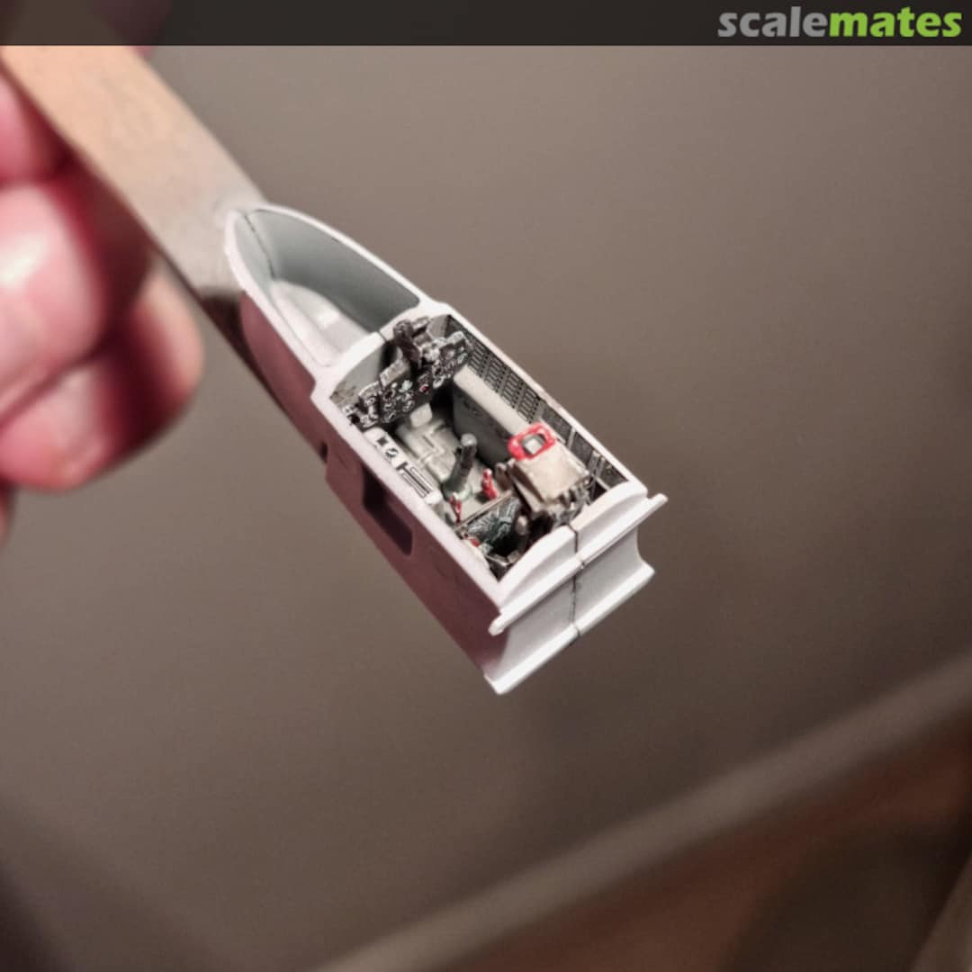 View album, image #5 View album, image #5