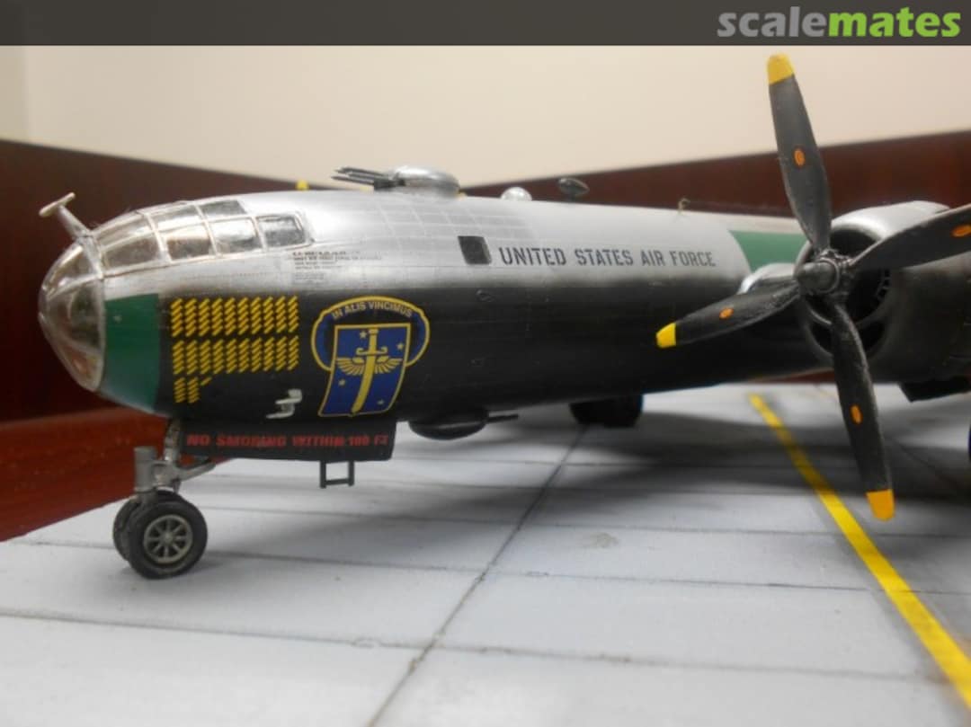 View album, image #1 View album, image #1