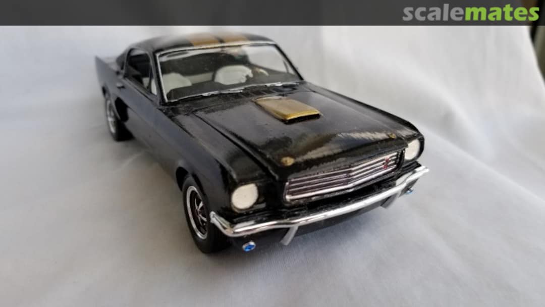 View album, image #15 View album, image #15