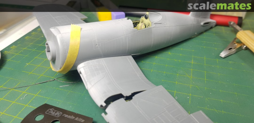 View album, image #3 View album, image #3