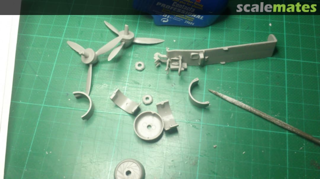 View album, image #1 View album, image #1