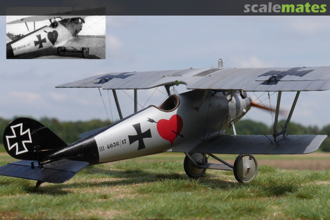 View album, image #1