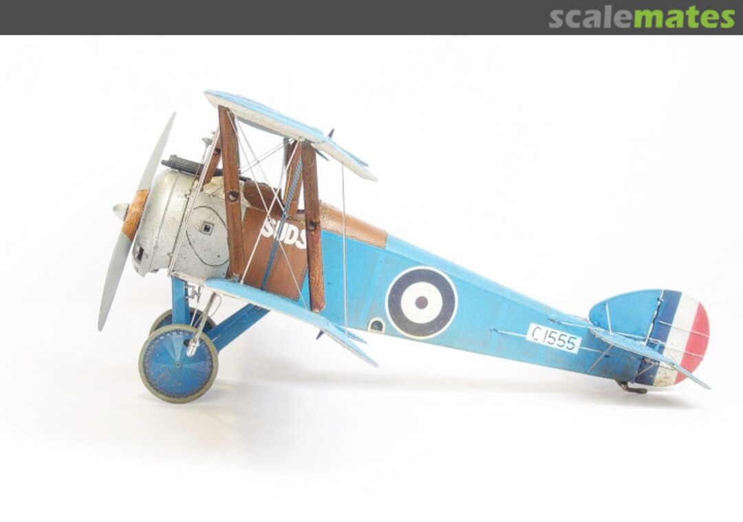 View album, image #1