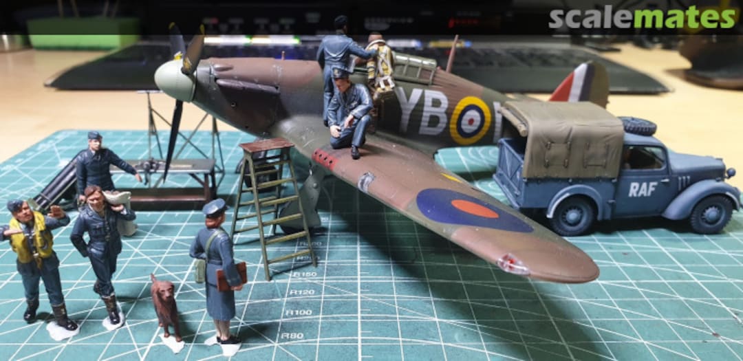 View album, image #14 View album, image #14