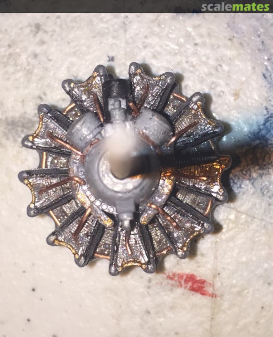 View album, image #1 View album, image #1