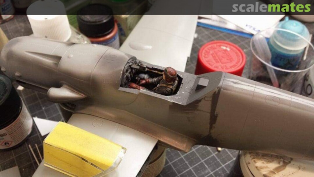 View album, image #1 View album, image #1