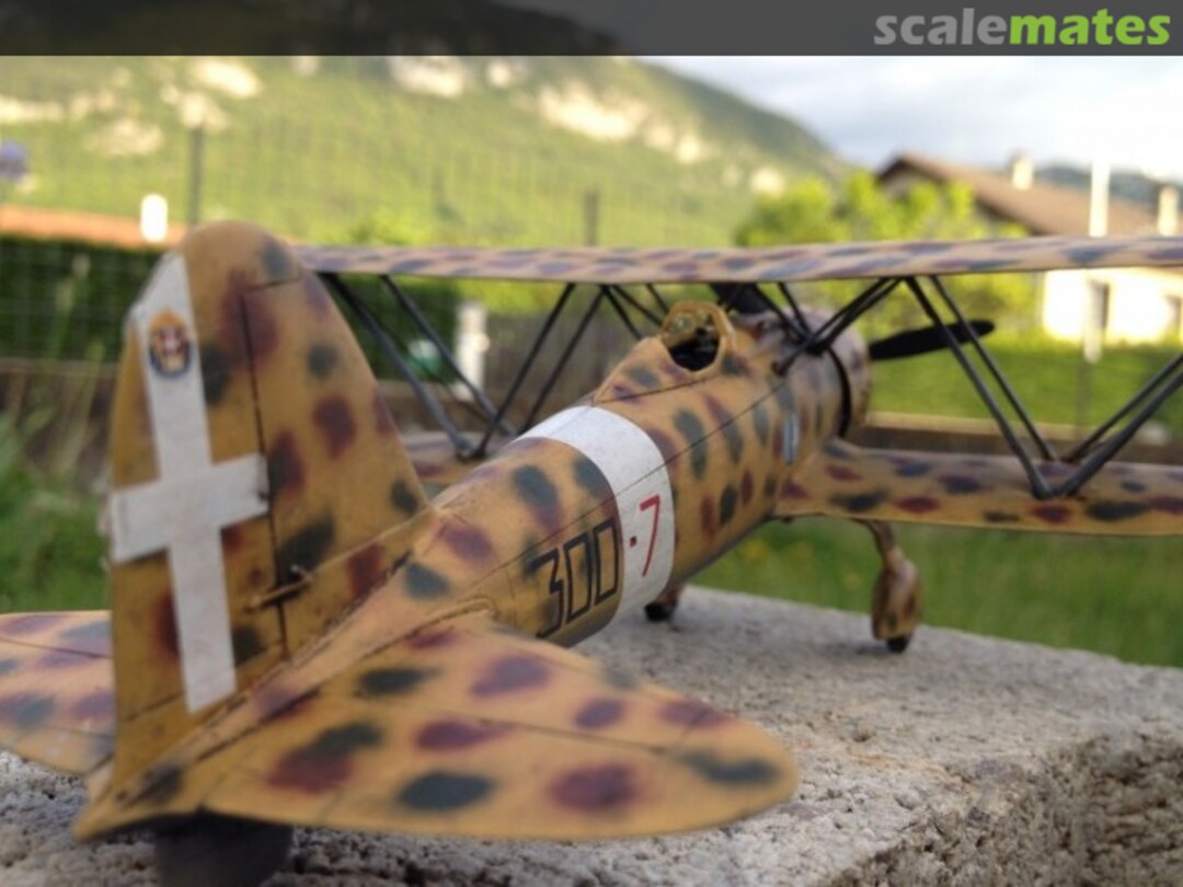 View album, image #14