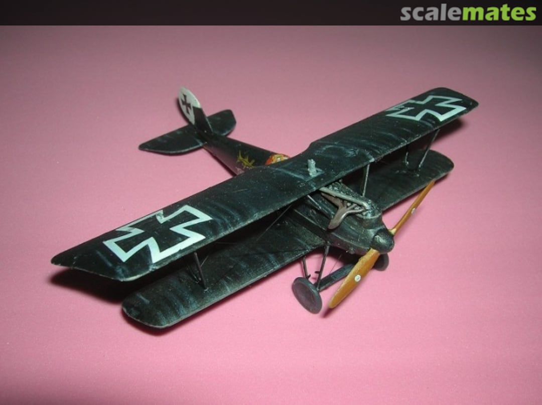 View album, image #8 View album, image #8