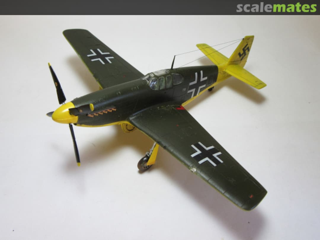 View album, image #2 View album, image #2