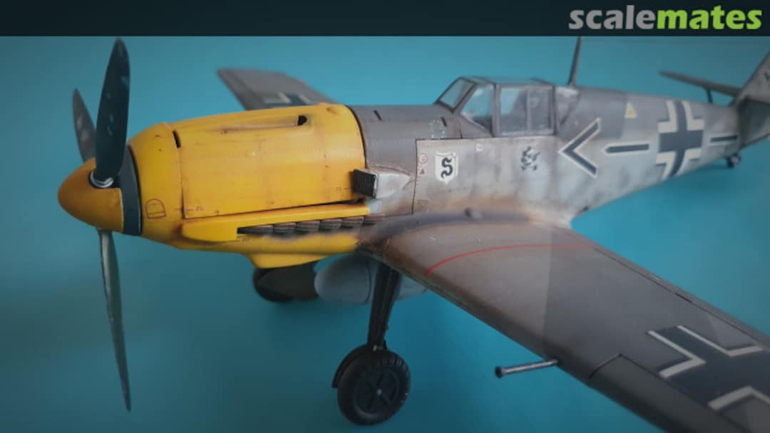 View album, image #1 View album, image #1