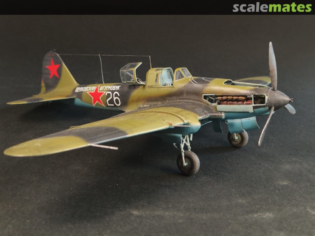 View album, image #41