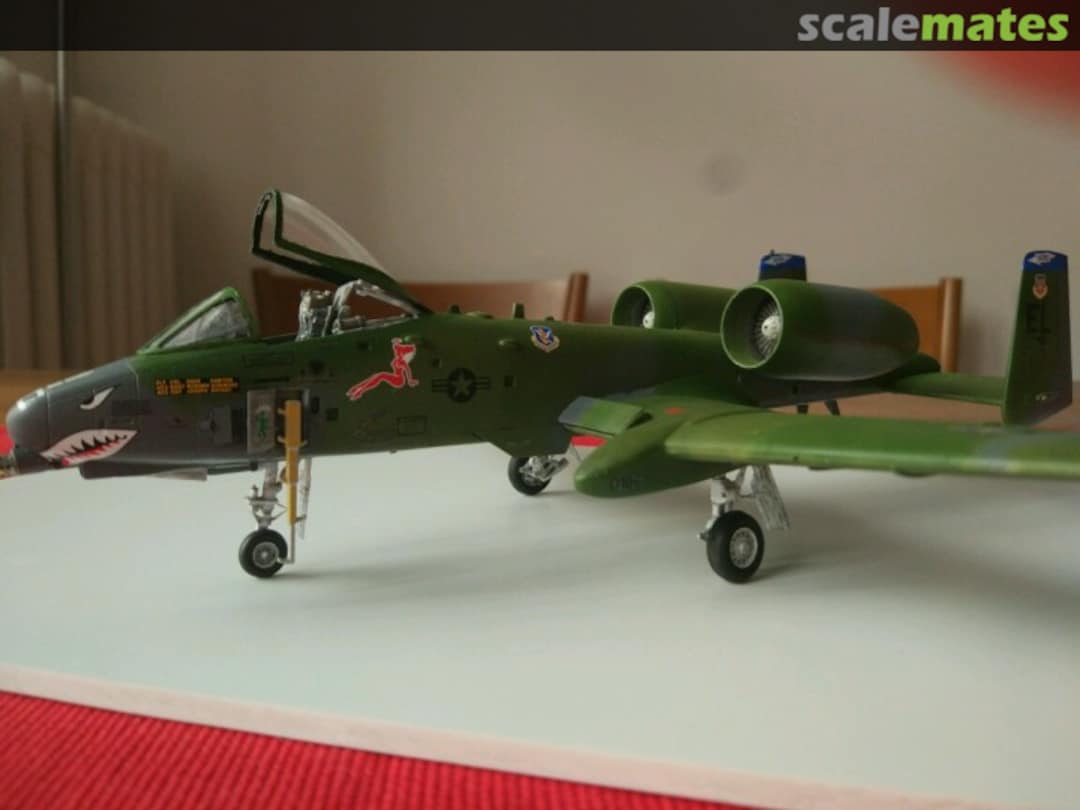 View album, image #71 View album, image #71