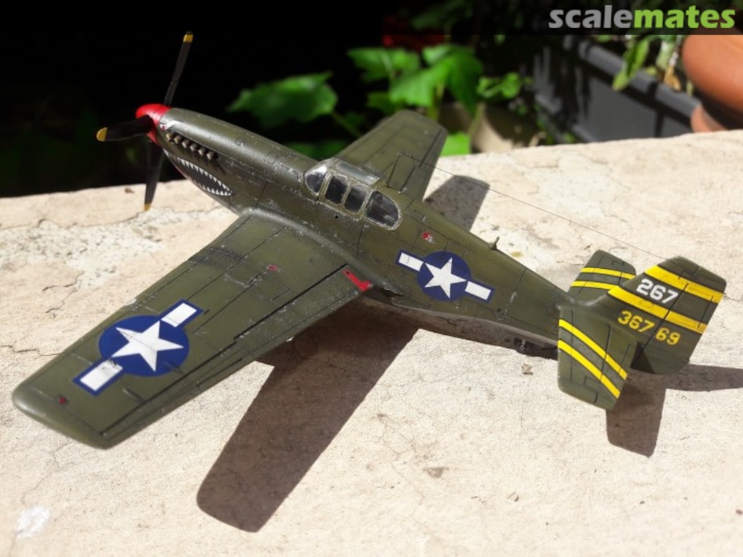 View album, image #3