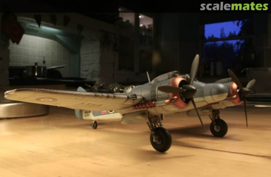 View album, image #1 View album, image #1