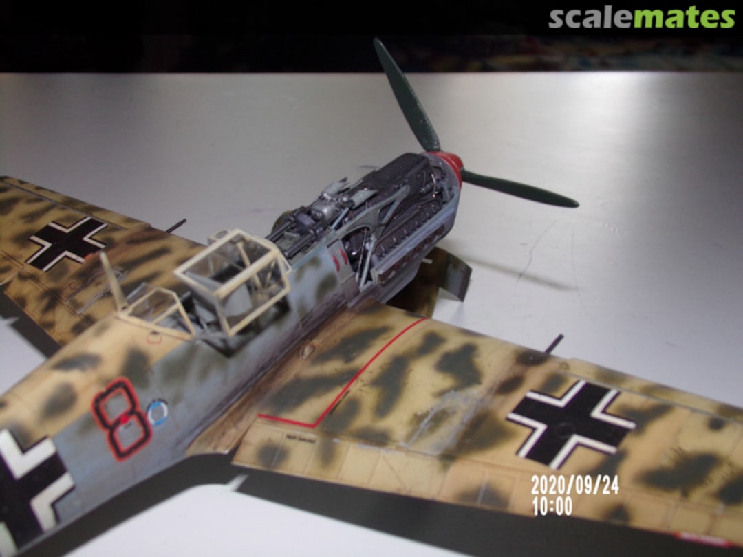 View album, image #49 View album, image #49