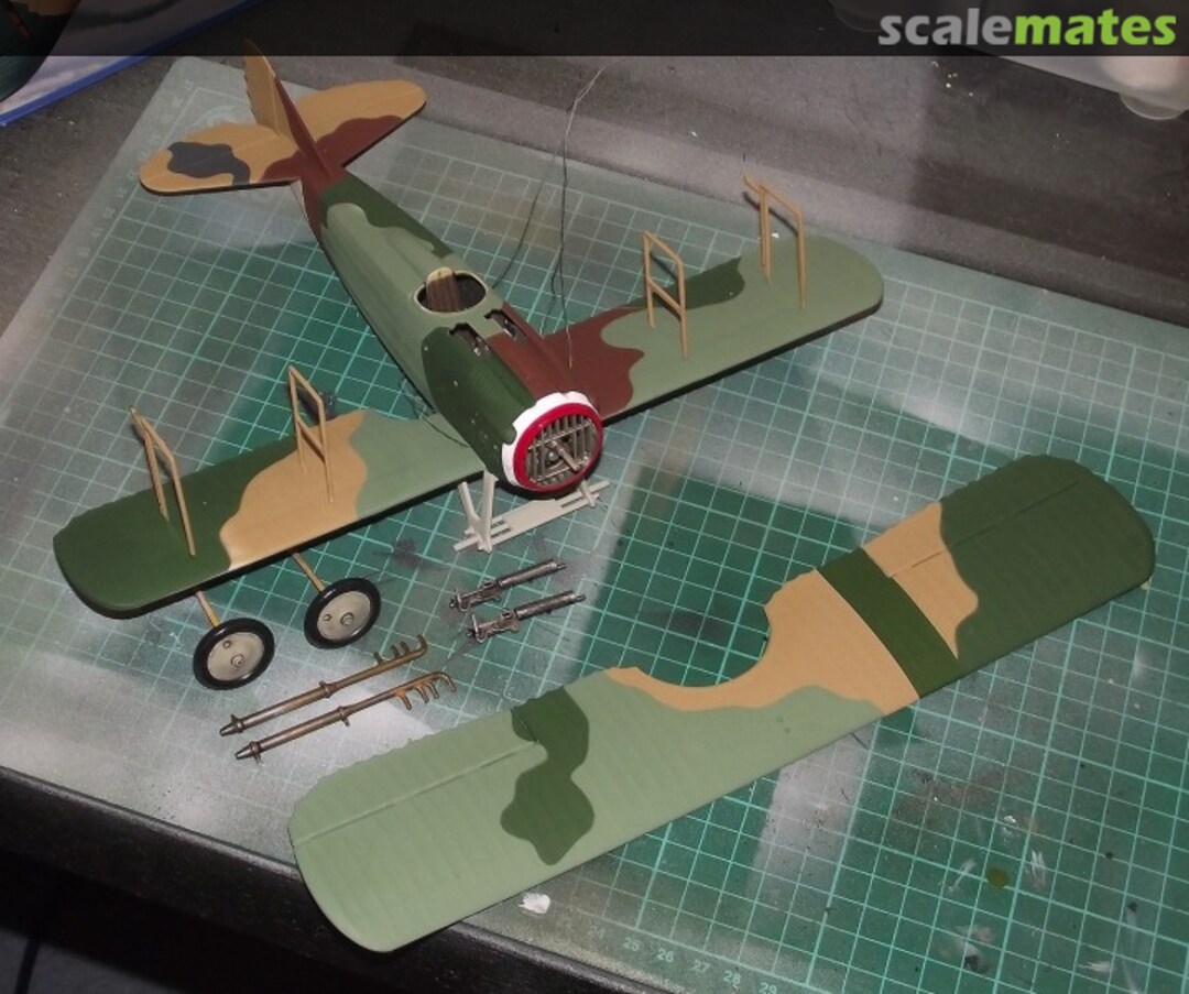 View album, image #1