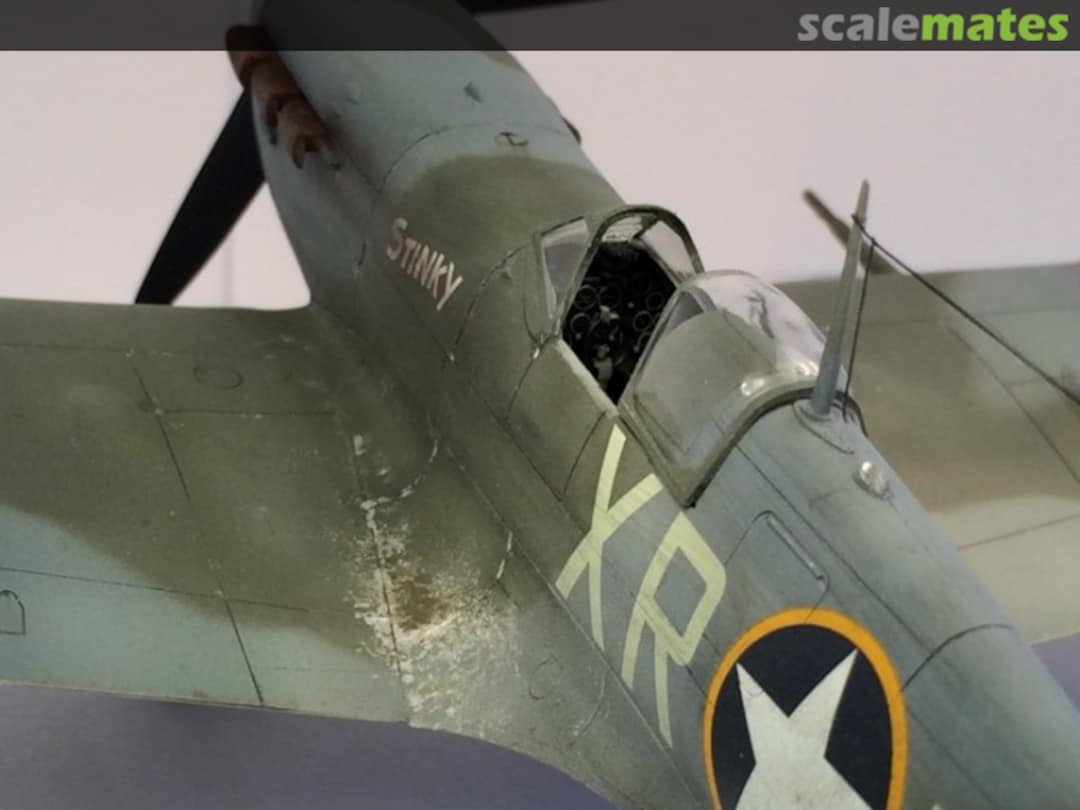 View album, image #10 View album, image #10