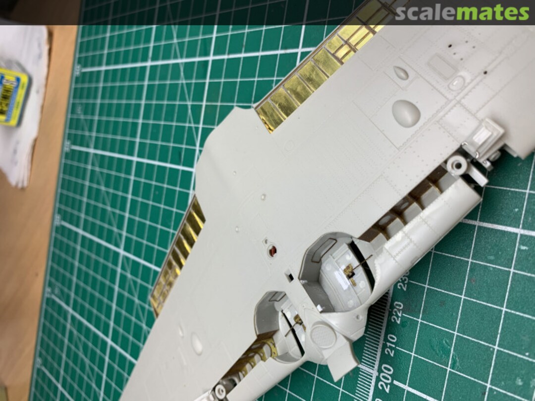 View album, image #1