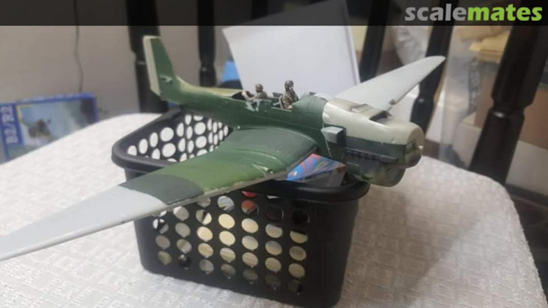 View album, image #1 View album, image #1