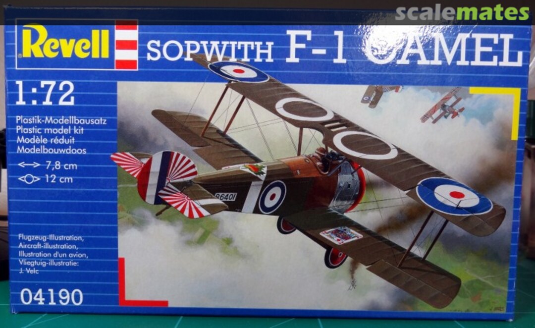 View album, image #1 View album, image #1