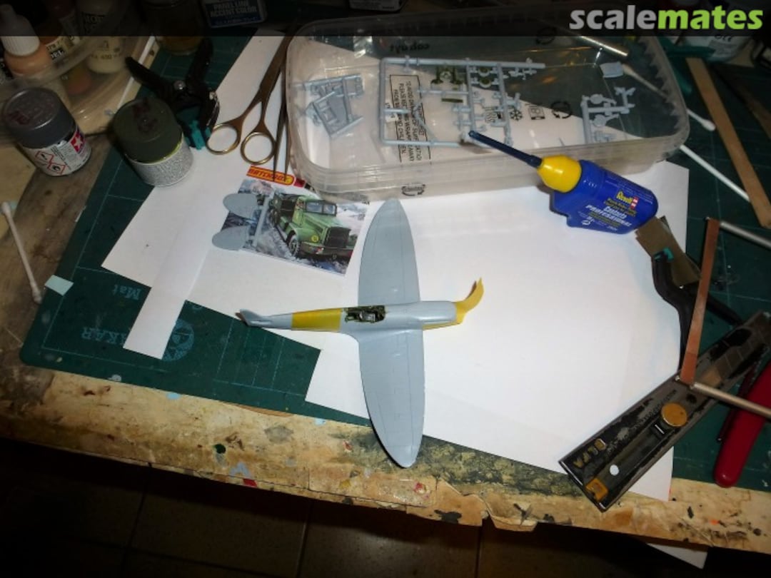 View album, image #1 View album, image #1