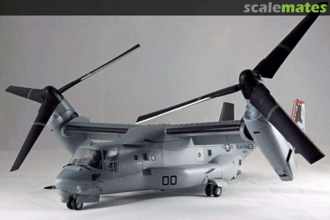 View album, image #1