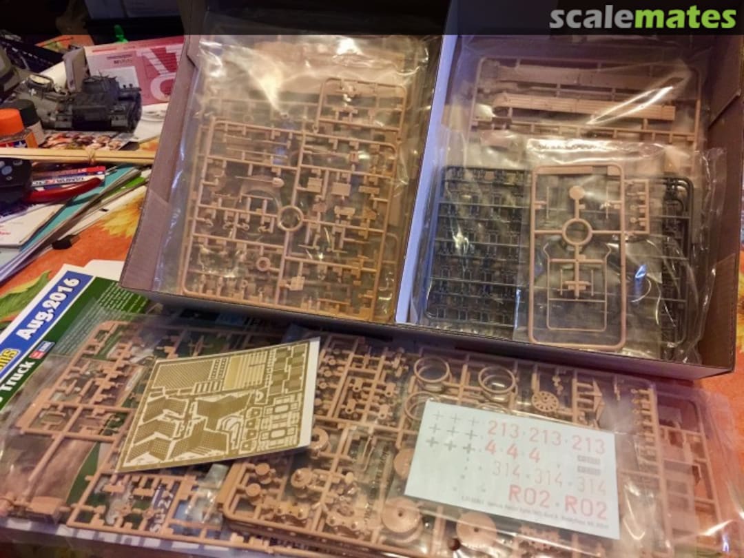 View album, image #1 View album, image #1