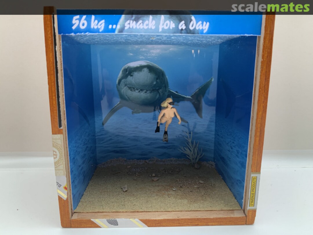 View album, image #1 View album, image #1