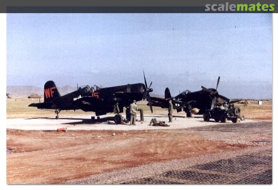 View album, image #1 View album, image #1