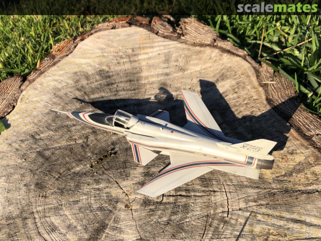 View album, image #7 View album, image #7